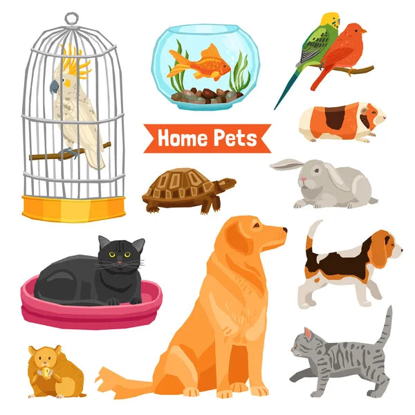 Pets & animals